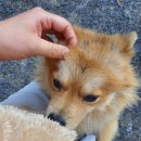 옛살비펜션 | [구례] 한달살기 해도 좋은 황토펜션 &#39;옛살비 꽃담&#39; 4계절 꽃차와 함께하는 숙소