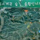 청명산악회 2017년 7월 홍천 백우산 산행 이미지