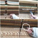 440 | 강서구 가양동 피아노 학원 조율 국가공인 1급 조율사 피아 노조 정 조율