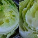 돼지와유황오리 이미지