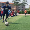 경희대 파란 태권도 이미지