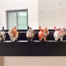 느릿느릿 김녕집 이미지