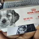 로얄퍼피 | 로얄캐닌 사료 샘플 신청 후기 웰컴 퍼피 키트