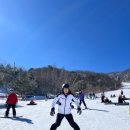 스키강습아이스키