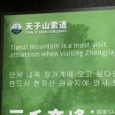 불동네슈퍼마켓 | 2026.05. Zhangjiajie ✨