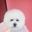 힐스타운 동물병원 이미지