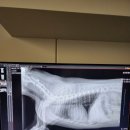 백양동물병원 이미지