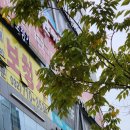 멍그라밍 이미지