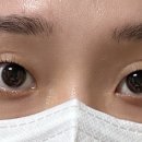퓨어브로우 이미지