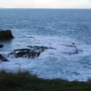 클로버(CLOVER) 이미지