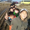 솔터3단지어린이집 Daum카페