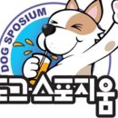 도그 스포지움 이미지