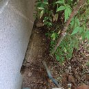 일층세탁 이미지