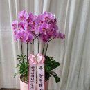 한세엔지니어링(주) - 1394 | 한세엔지니어링(주)