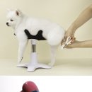 (주)발상코퍼레이션 이미지