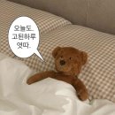 다온프라임유치원 | 10-5, 11-1 시월의 어느 멋진 날에. 푸하하~~