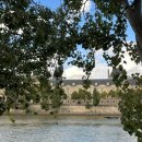 센느약국 이미지