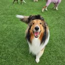 불리빌로우코리아센터 이미지