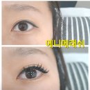 덕풍초등학교 | 경기도 하남 속눈썹연장 후기] 7년째 단골 인증! 더 오드리에서 눈매 변신 성공기