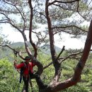 늘봉 - 축천산 산행 이미지