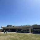 개들랜드 이미지