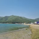 저구마을1세천 | 남파랑길 24코스(저구항-탑포마을 입구)에 다녀오다.