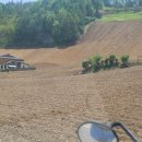 강마루펜션 이미지