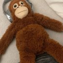 자연과한의원 이미지