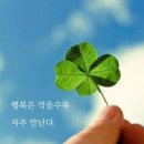 (주)컨트리트네이처 | 워킹맘 부수입 110만 원 달성 미니 강의 후기부터 교통사고 이후 일상까지 총정리해 봄