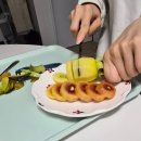 우리농수산 - 안양시 만안구 안양로454번길 9 | 레드키위 vs 골드키위 당도 비교! 과자보다 맛있는 북극곰농수산 고당도 키위 후기