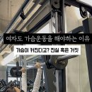 빅스짐 여성전용 상남점 이미지