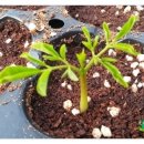 신가네농장 이미지