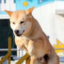 우리네축산 이미지