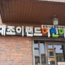 약대조이랜드어린이집 이미지