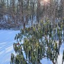 하이원 팰리스호텔 이미지