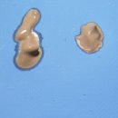 골드라벨 이미지