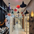 세종 호운 검도관 이미지