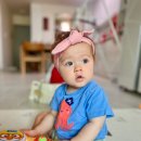 도리도리 이미지