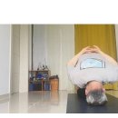 suup(숲) | 아카샤 요가집_후기(1)_성수동 홈요가