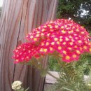 어머니의 방 - 시 이미지