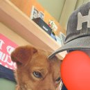 카페훈트 이미지