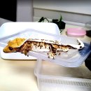 라이언렙타일