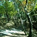 그린밸리펜션 이미지