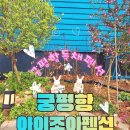 (주)조아 | 가족끼리 놀러 가기 좋은 프라이빗 궁평항독채펜션, 궁평항 아이조아펜션 후기!