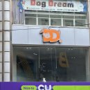 부산 강아지 24시 애견미용호텔유치원 도그드림(서면점) 이미지