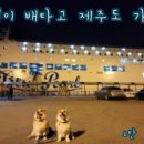 우진켄넬 네이버블로그