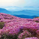 비밀의화원 - 부산진구 중앙대로 700 | 비밀의화원