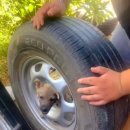 제우스타이어 이미지