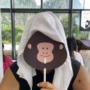 포항 울릉도여행 에필로그 홀릭이랑혜윰이랑 국내여행