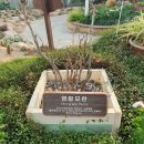 세계모란공원 이미지